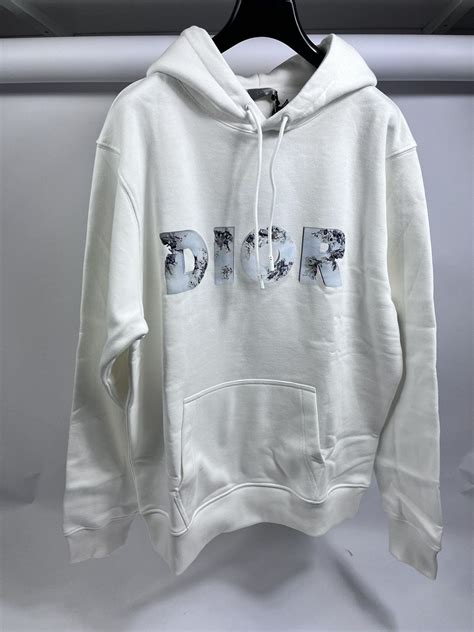 dior x daniel arsham hoodie